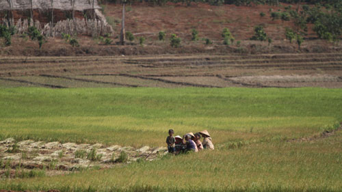 คณะกรรมการชี้นำเขตที่ราบสูงTây Nguyênปฏิบัติหน้าที่ปี๒๐๑๓